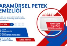 karamursel-petek-temizleme