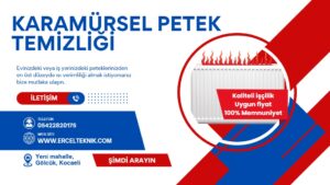 karamursel-petek-temizleme