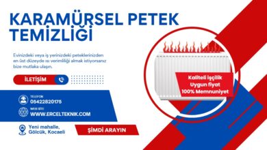 karamursel-petek-temizleme