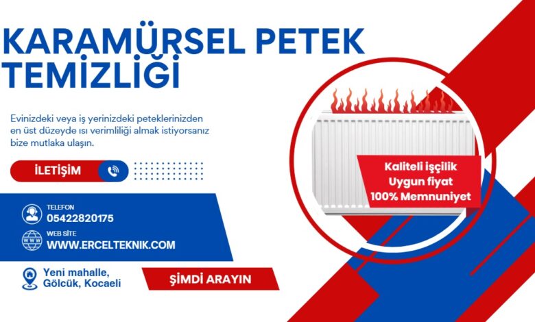 karamursel-petek-temizleme